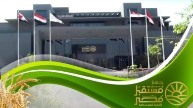 جهاز مستقبل مصر