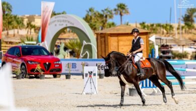 ستيلانتس جيب