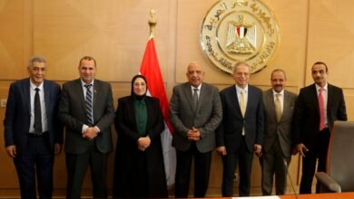 وزير الكهرباء