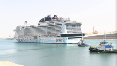 السفينة MSC EURIBIA