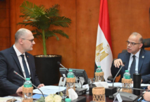 وزير الاستثمار