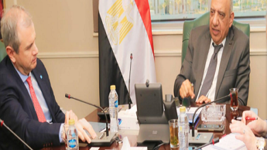 وزير الكهرباء